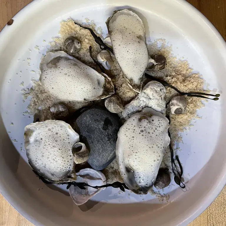 Oysters and Shirodashi at Stages