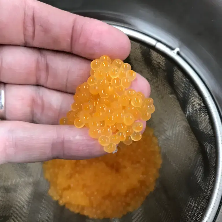 Jeremy Umansky's "Lake Caviar"
