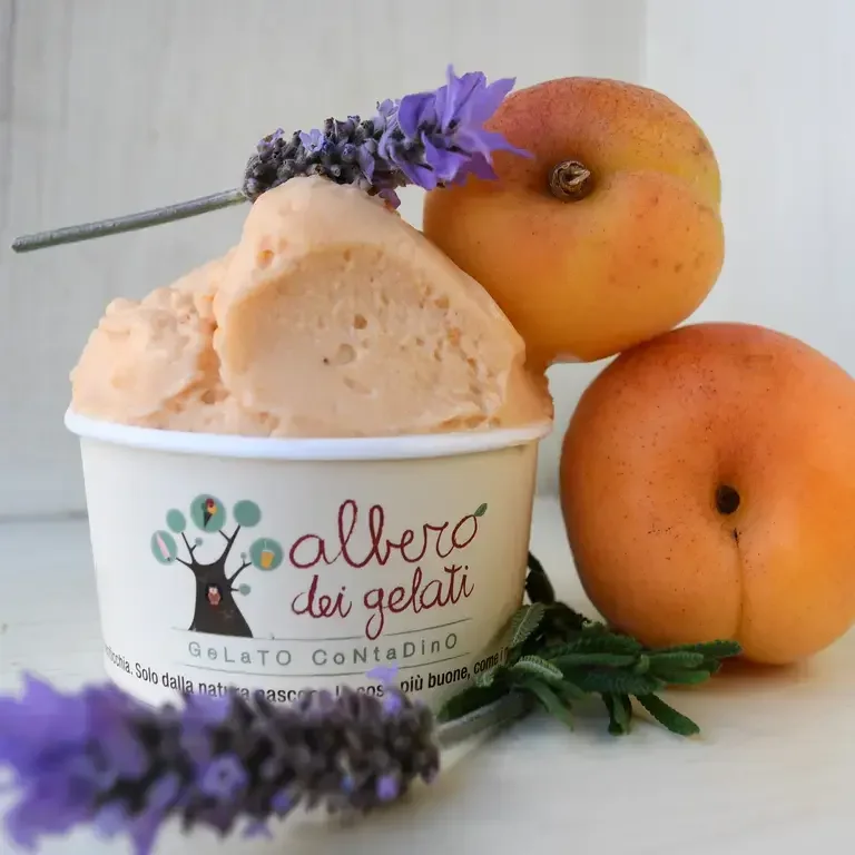 Gelato at L'Albero dei Gelati