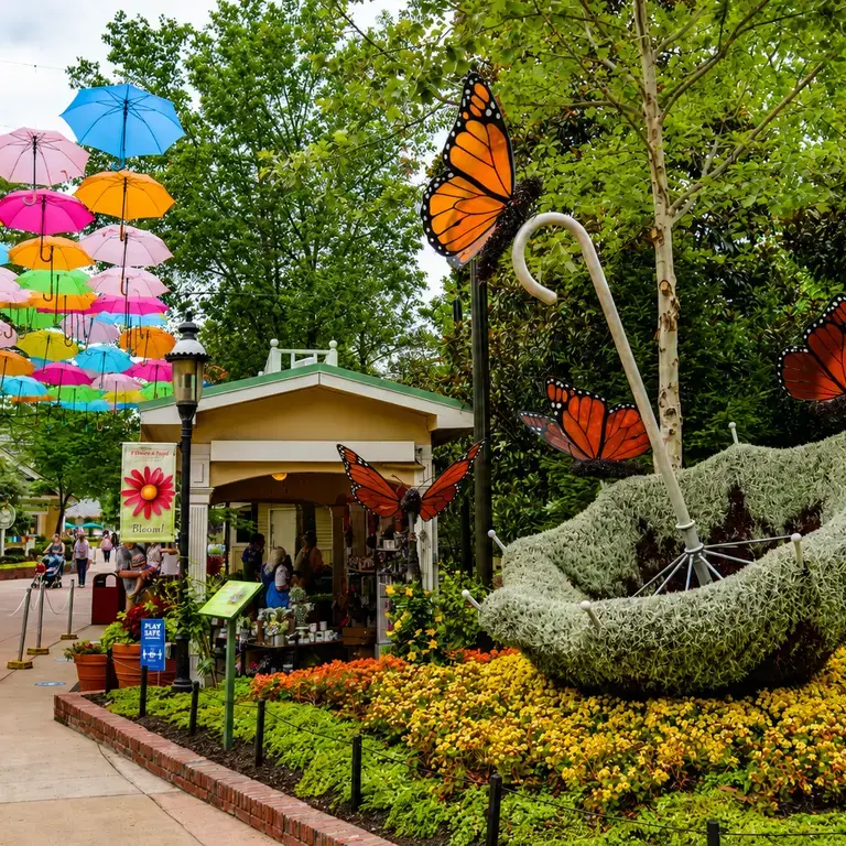 Dollywood