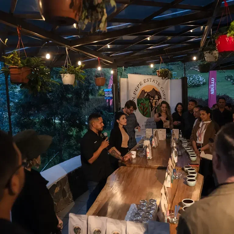 Coffee Tastings in Panama