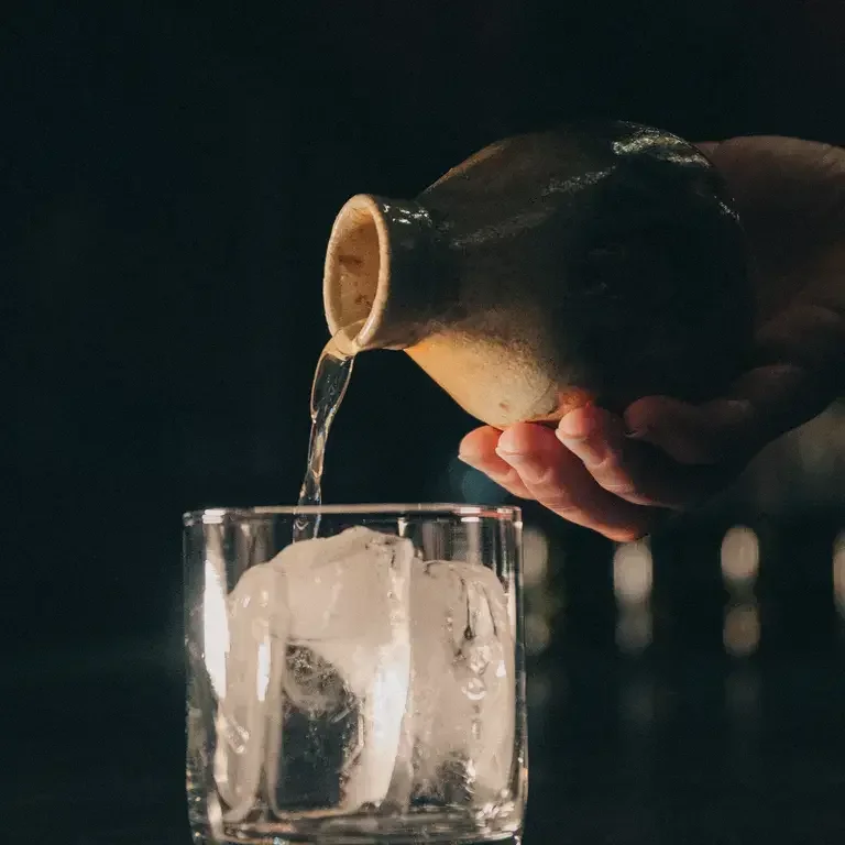 Beverage Pairing at Ursa