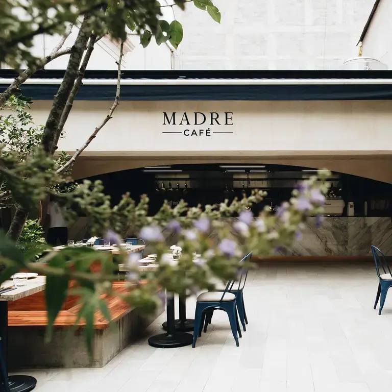 Madre Café in Mexico City