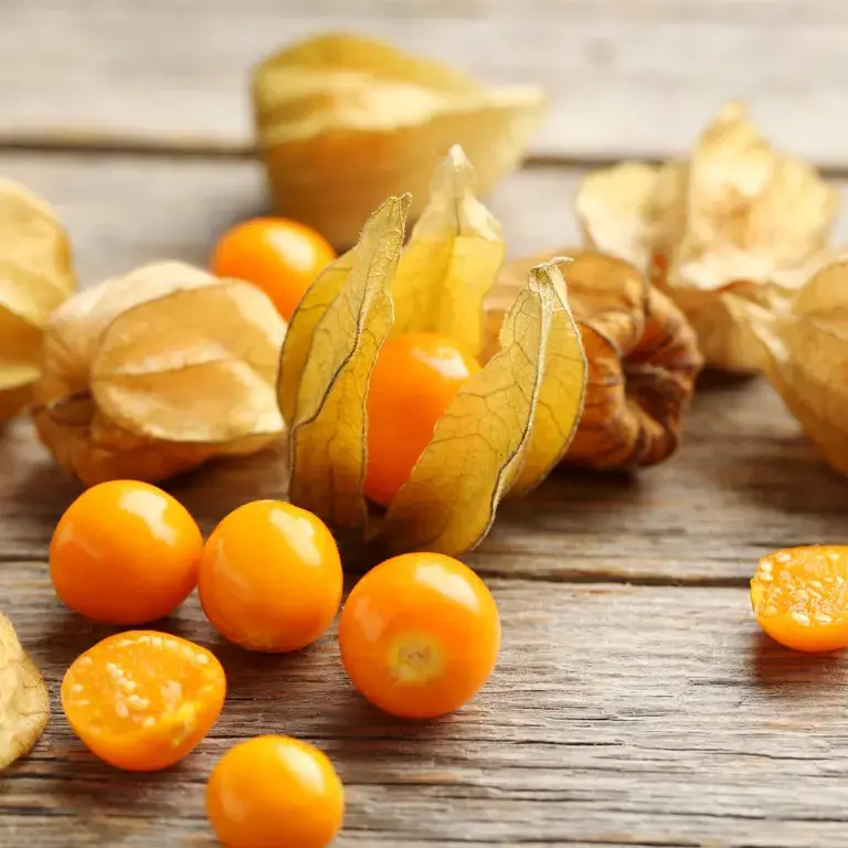 Cape Gooseberry Recipes and Benefits Fine Dining Lovers