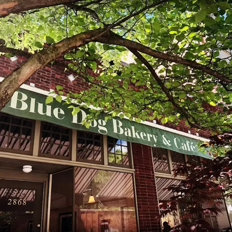 Blue Dog Bakery &amp; Cafe