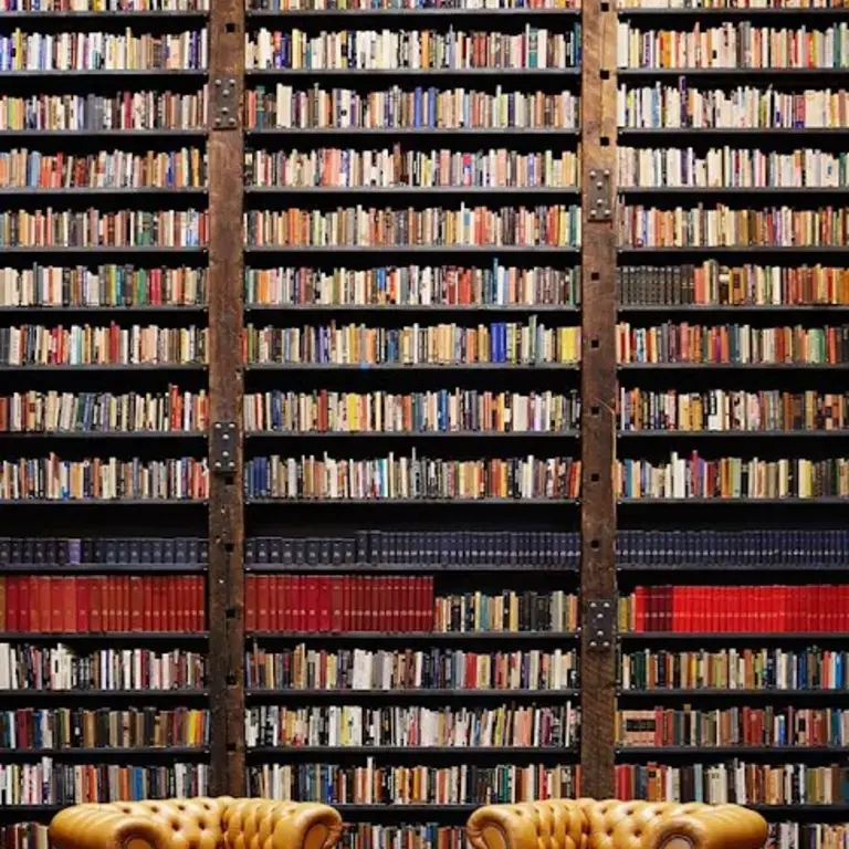Stony Island Arts Bank