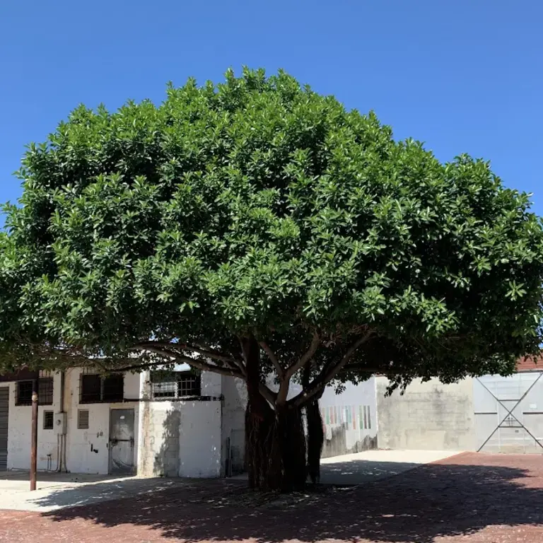 Sunny’s Steakhouse