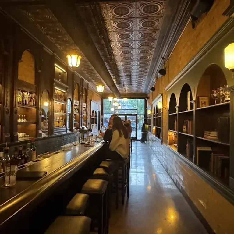 The Alley Cat Chicago