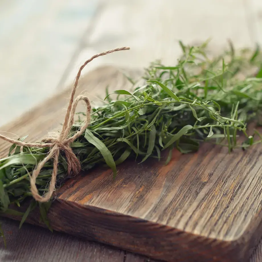 tarragon recipes - Fine Dining Lovers