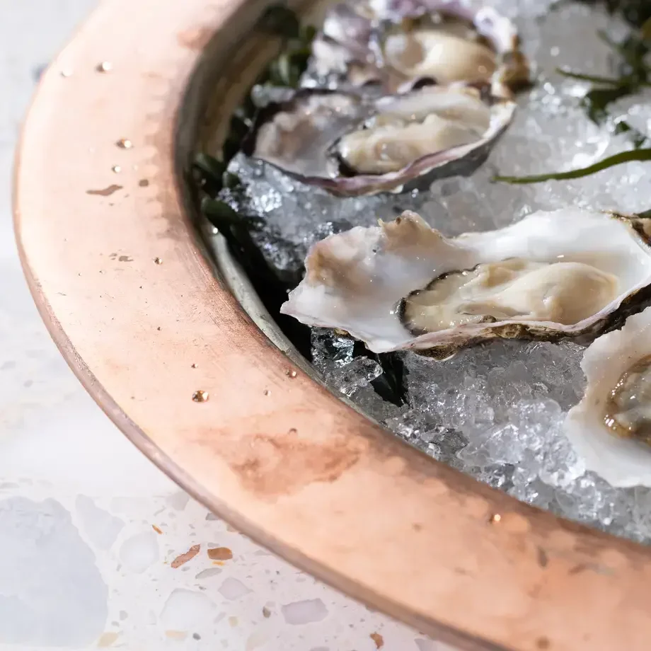Dalida Oysters