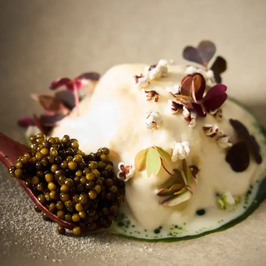 Provenance Late Summer Tofu