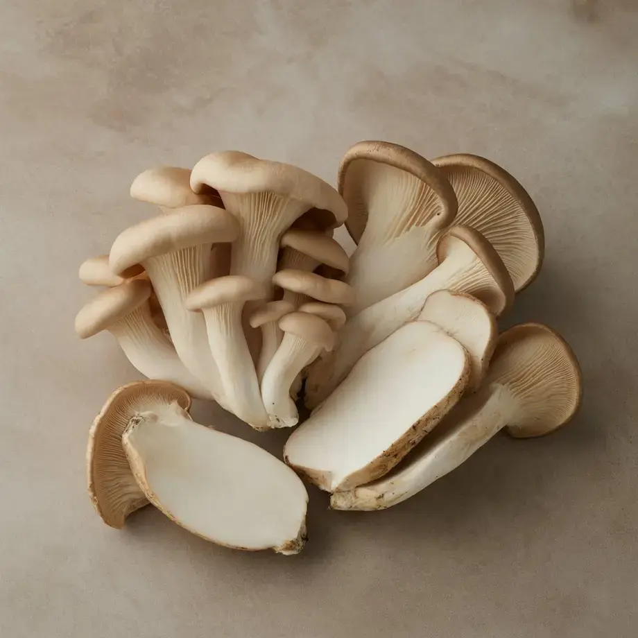 what are oyster mushrooms - Fine Dining Lovers