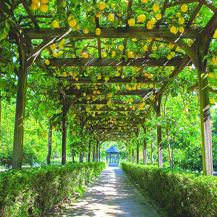 Garden to Glass at SBCE