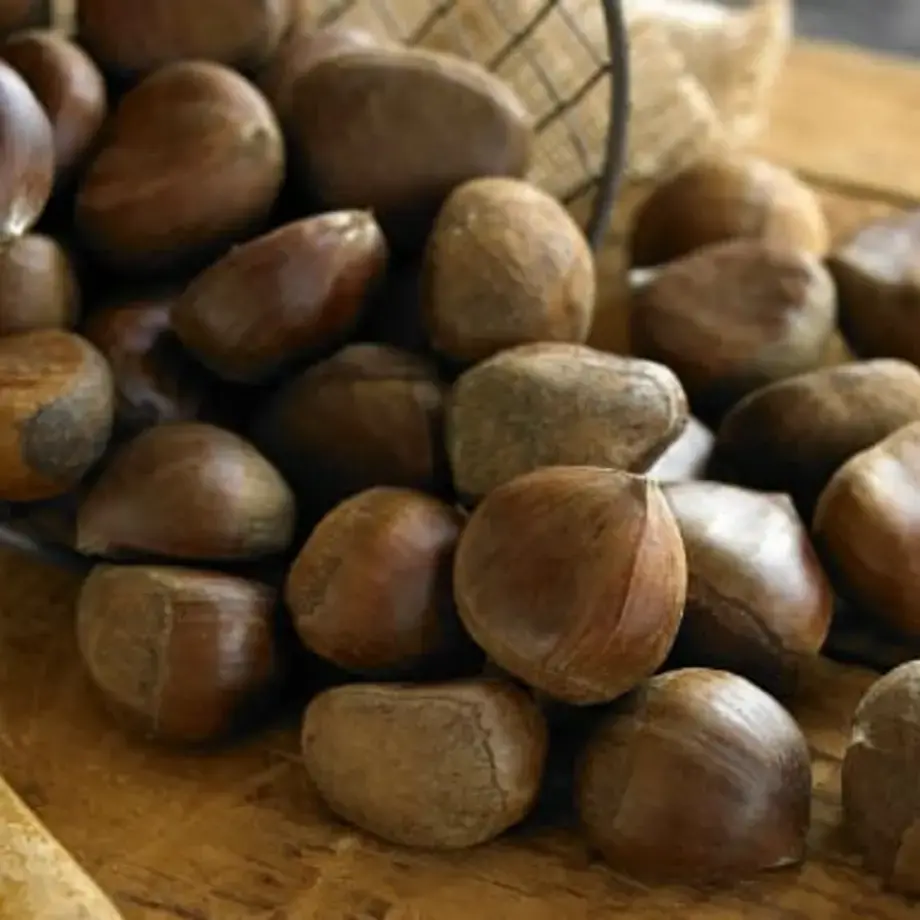 11 Recipes That Will Make You Fall in Love With Chestnuts