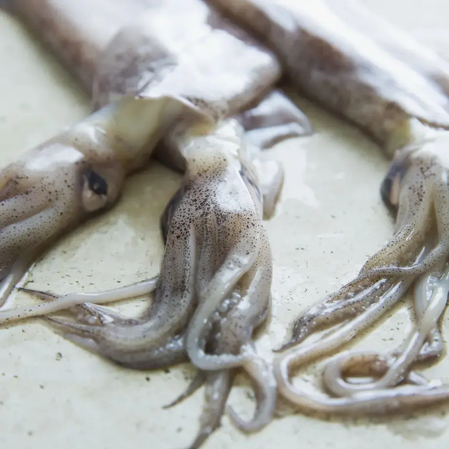 Squid Recipes:  10 Tempting Ways of Cooking with Squid