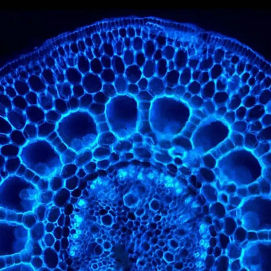 Original_12368_spheriphication-finedininglovers-tp