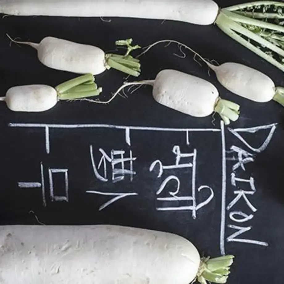 How to cook Daikon Radish: tips for preparing this Asian vegetable