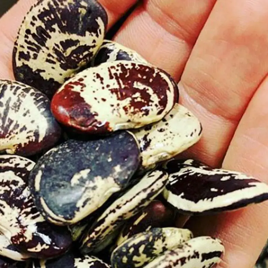 Christmas Lima Beans: An Easy Recipe For The Holidays