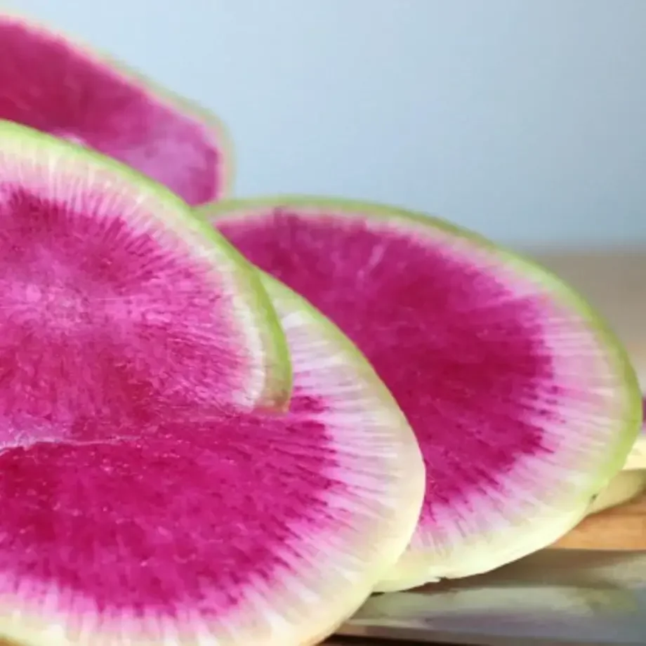 What is Watermelon Radish?