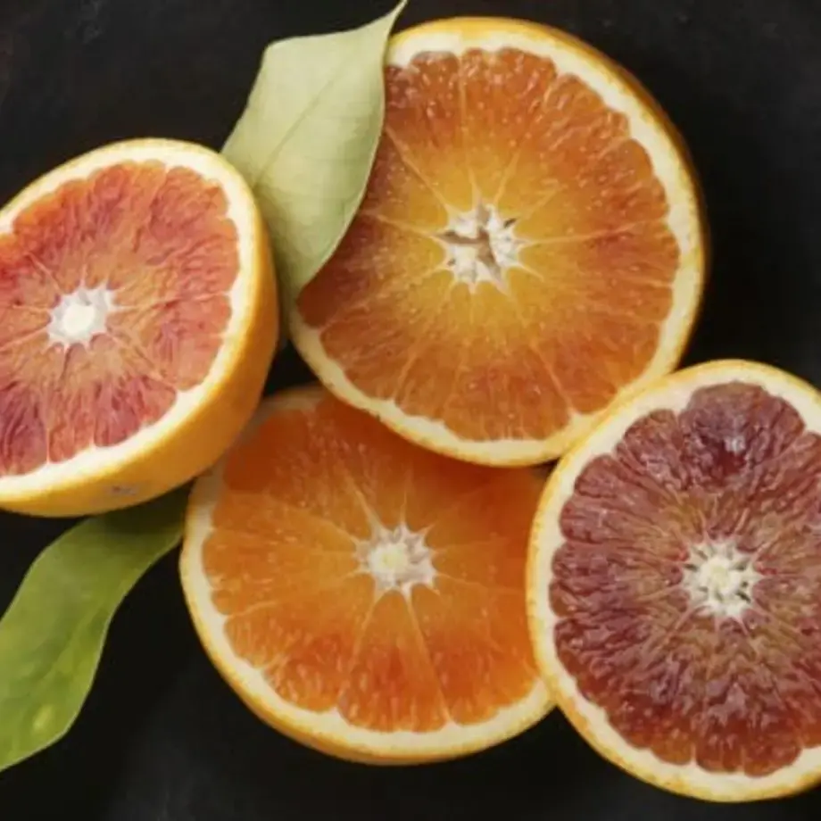 Tarocco Blood Oranges, the Sweetest of Citrus