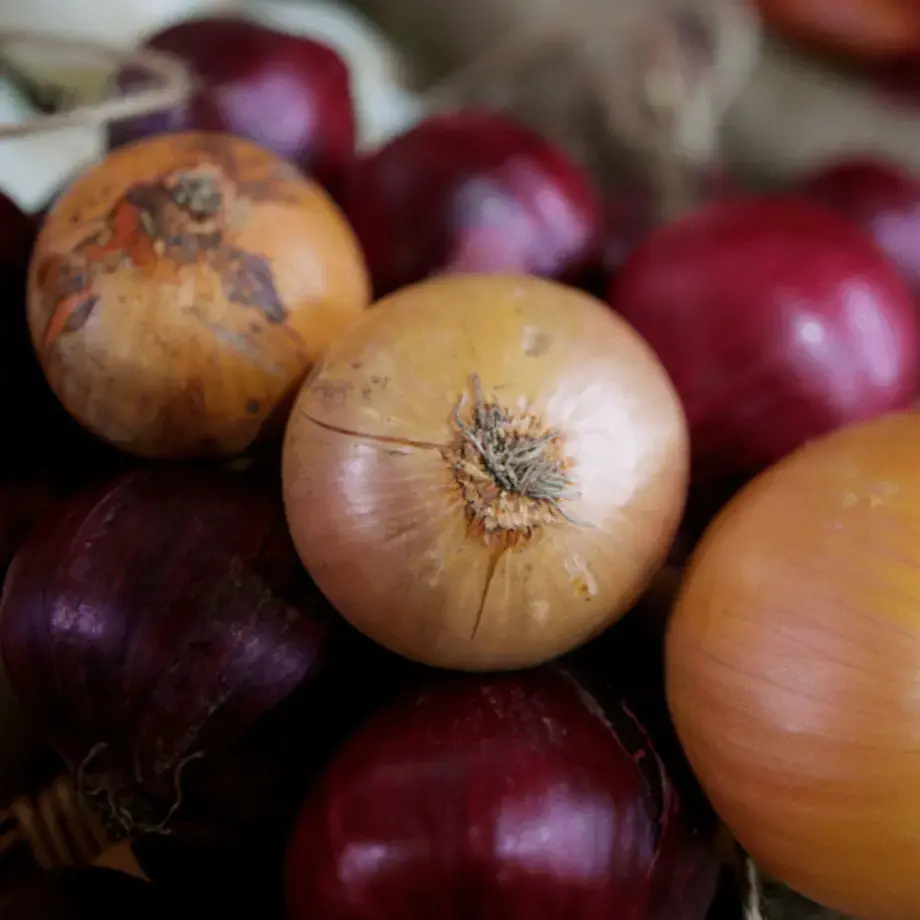 Different Types of Onions