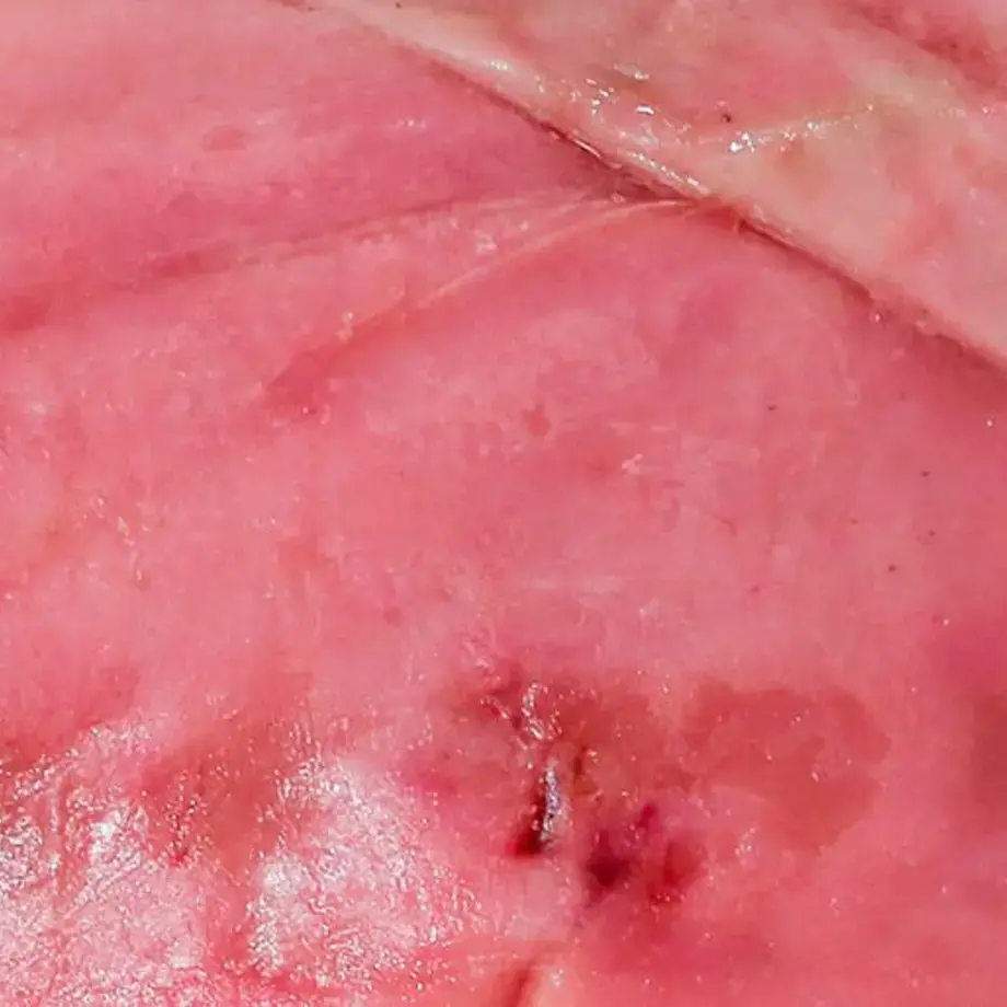 Curious Delicacies: Getting to Know Milt