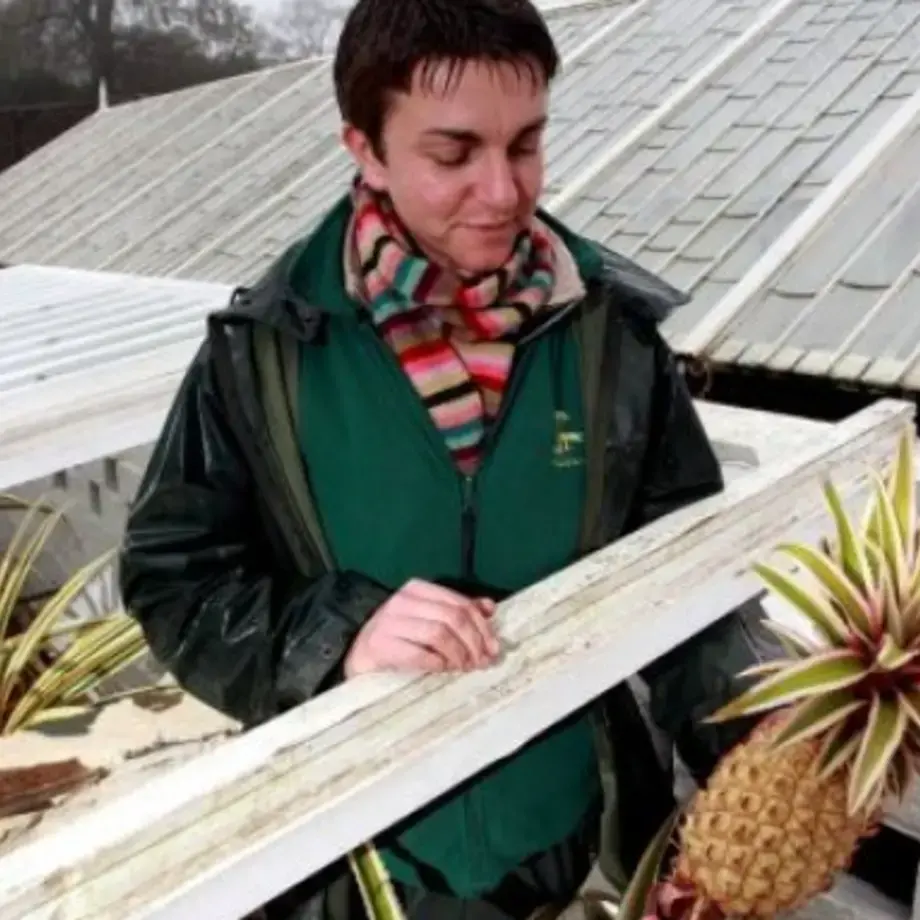 Would You Pay $16,000 For A Pineapple?