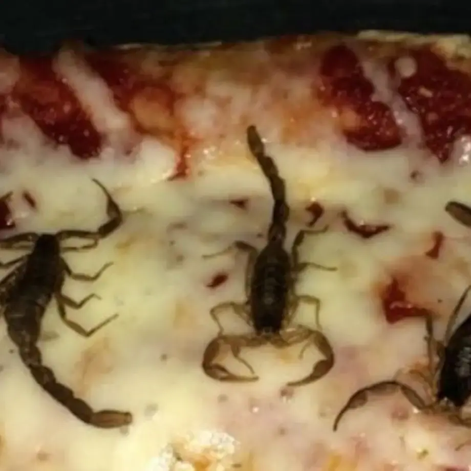 Hungry? How About Some Scorpion Pizza?
