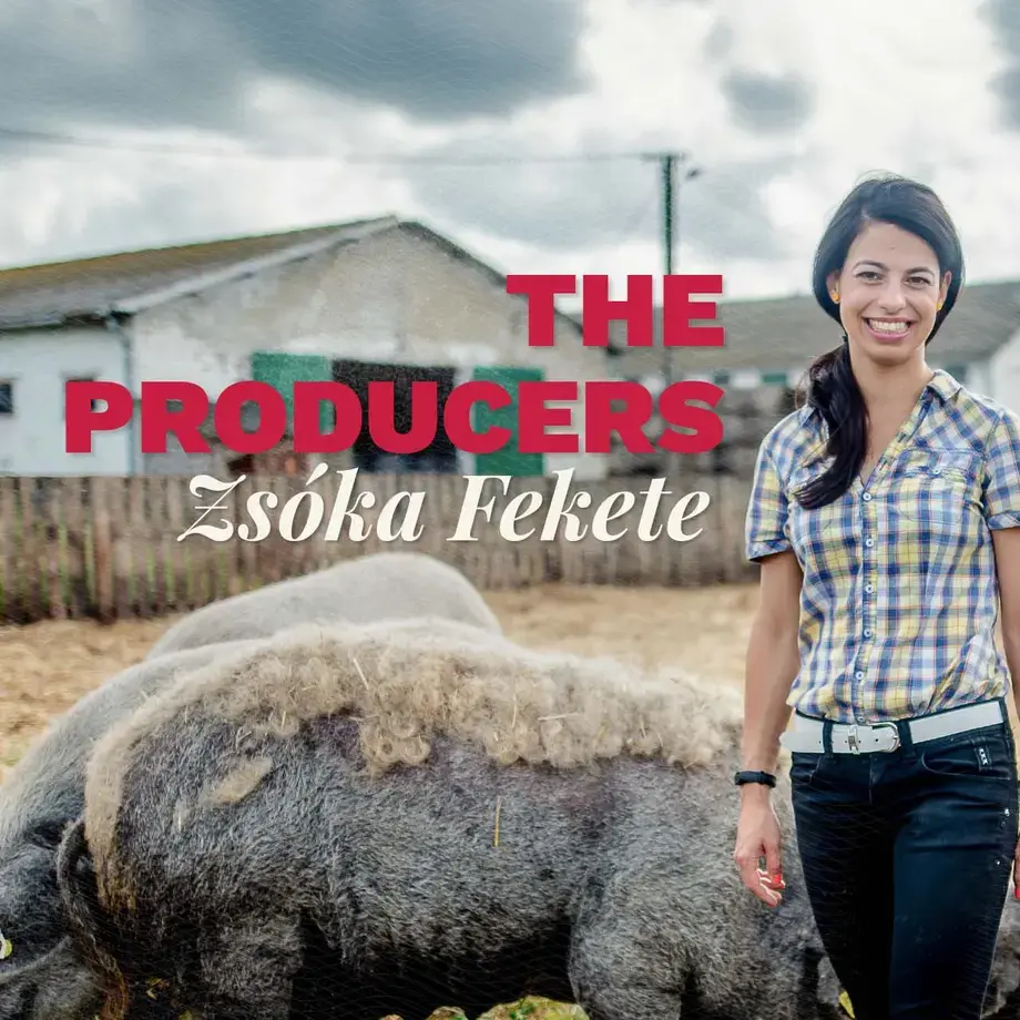 A woman standing next to pigs.