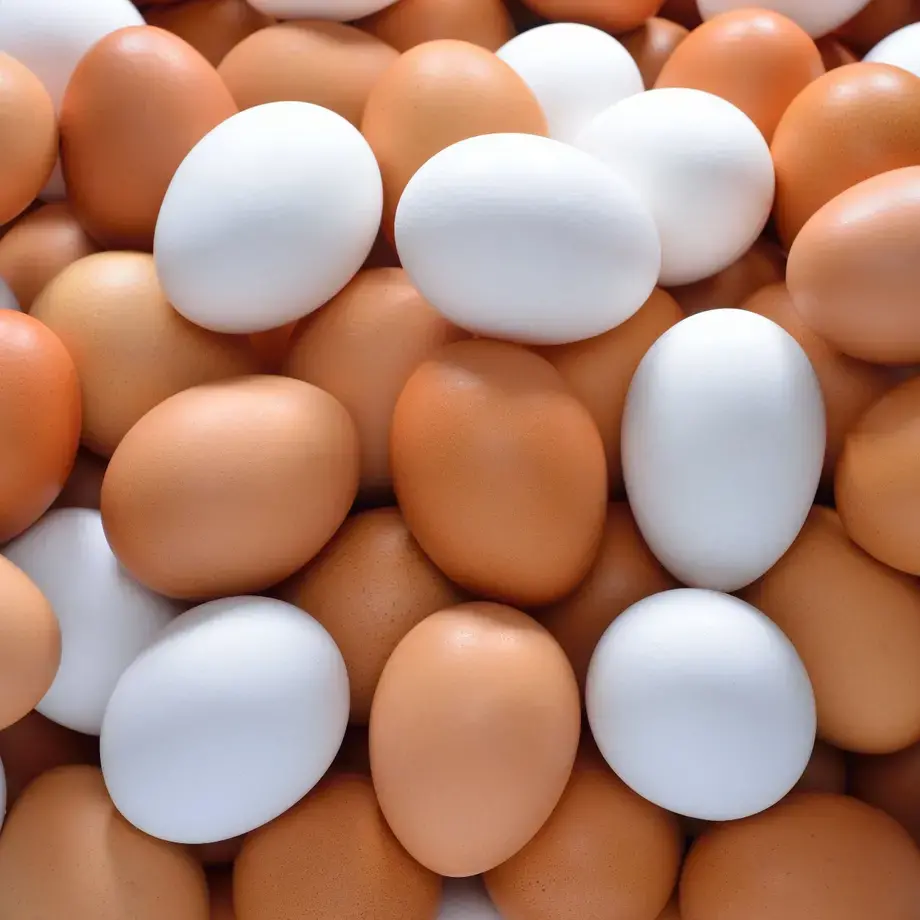 brown-and-white-eggs