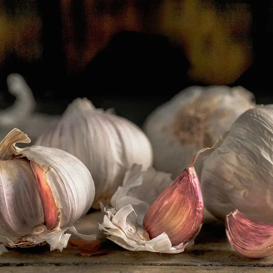 Garlic