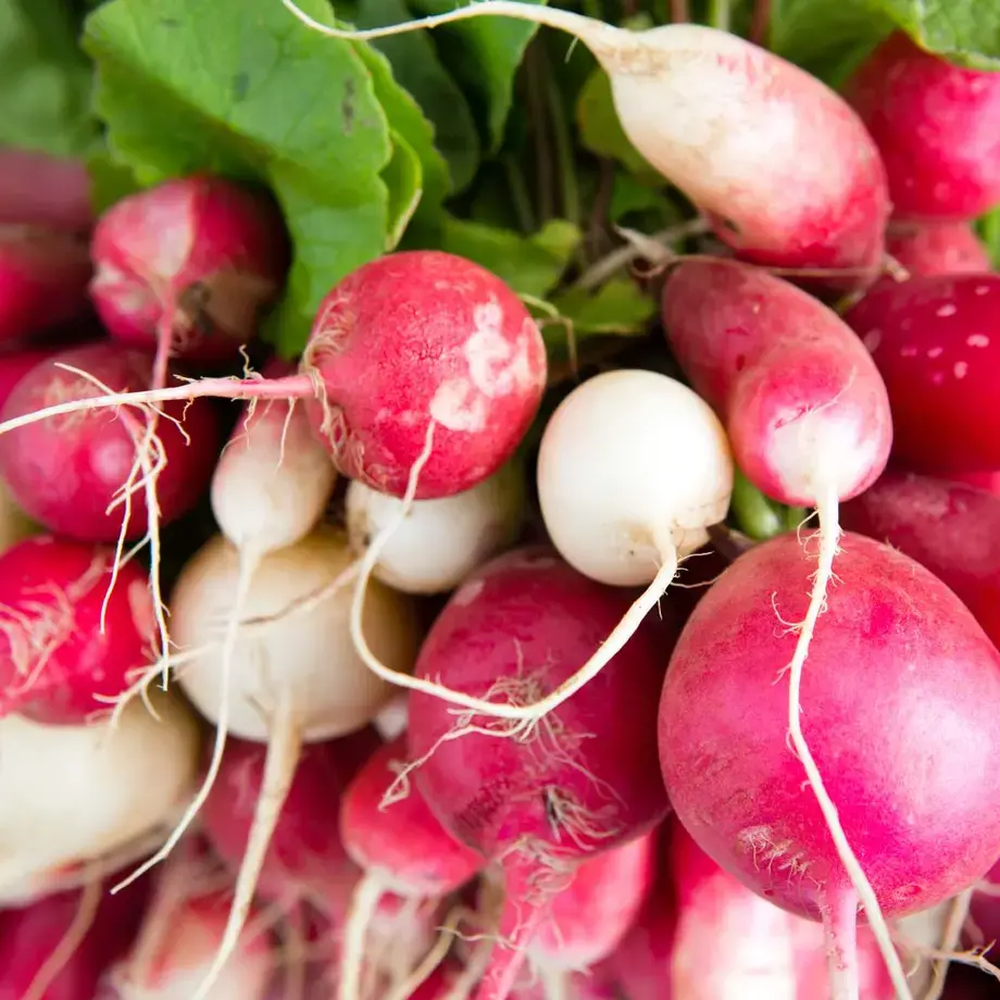 radishes ©iStock
