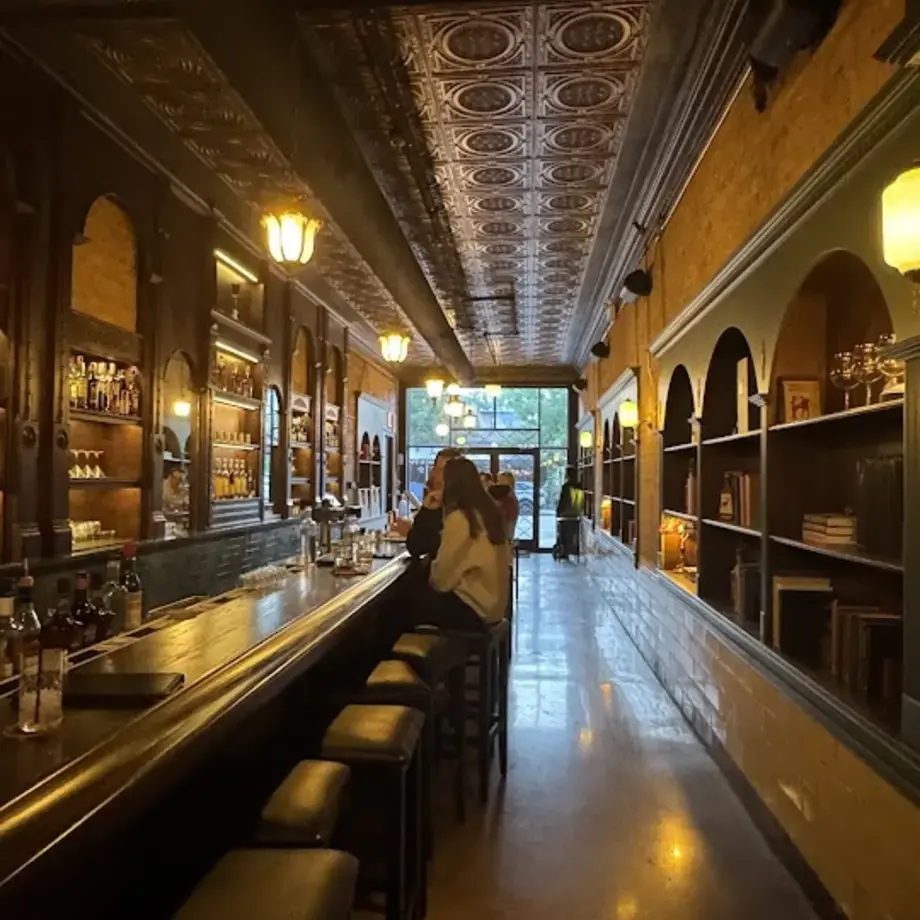 The Alley Cat Chicago