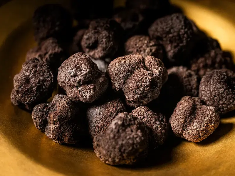 Tartufo Regale.