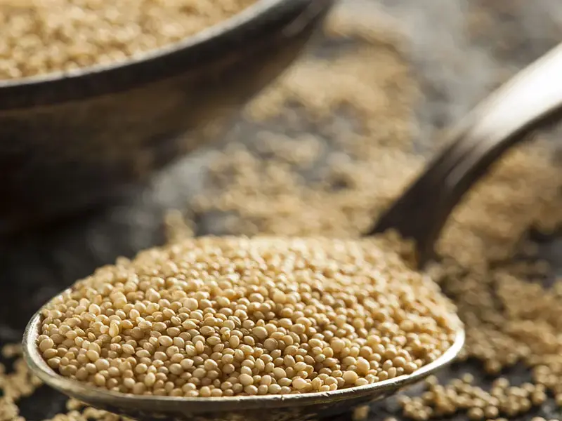 amaranth grain - Fine Dining Lovers