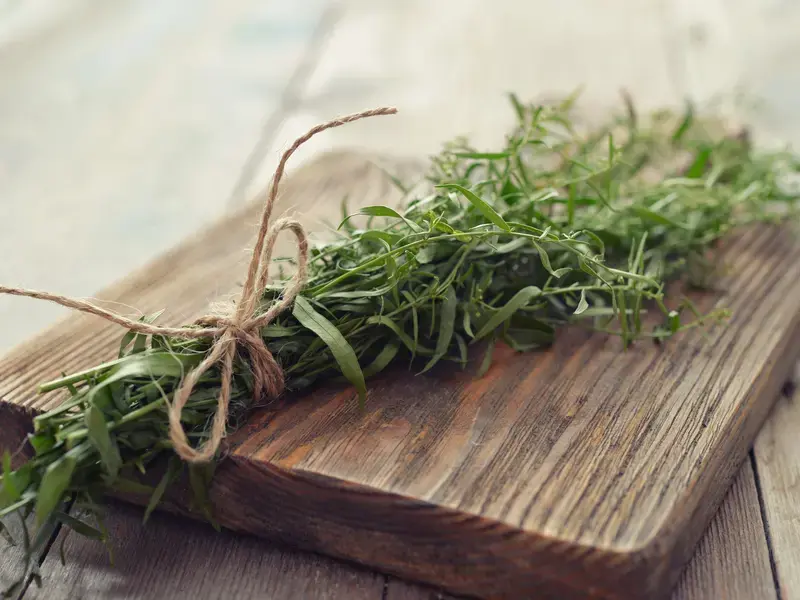 tarragon recipes - Fine Dining Lovers