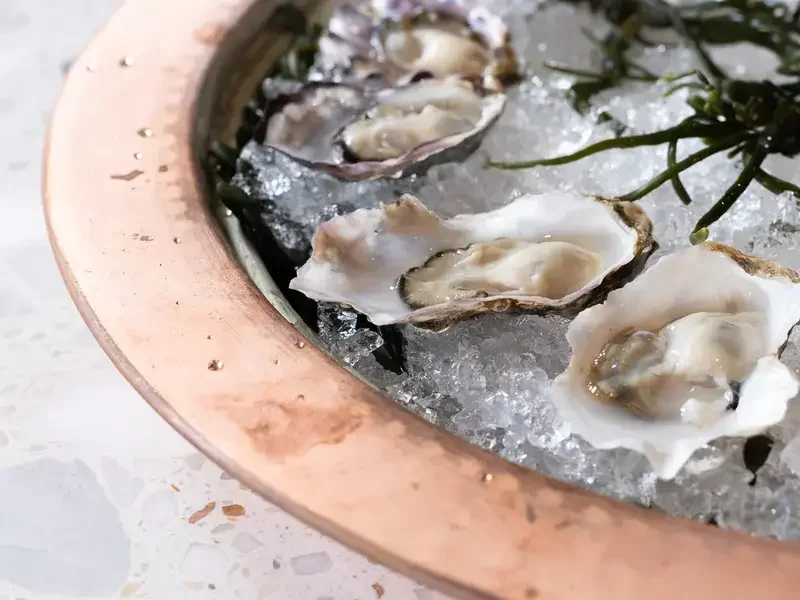 Dalida Oysters