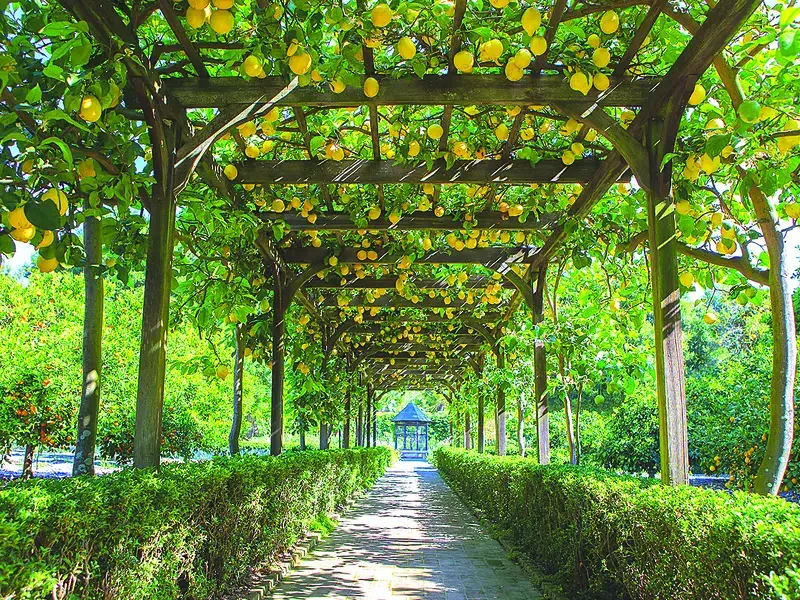 Garden to Glass at SBCE