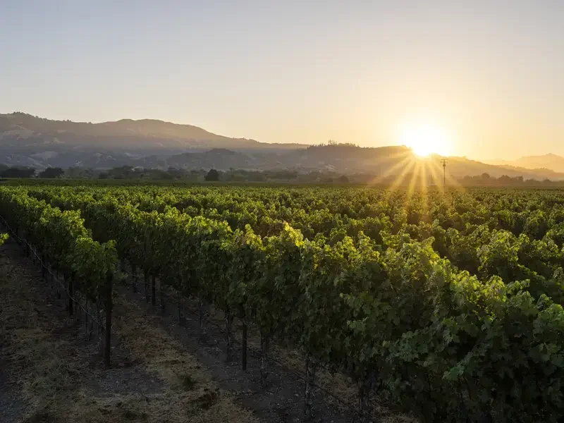 Aperture Vineyards