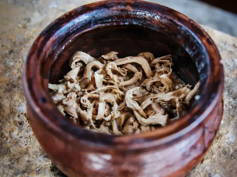 Mushrooms pot