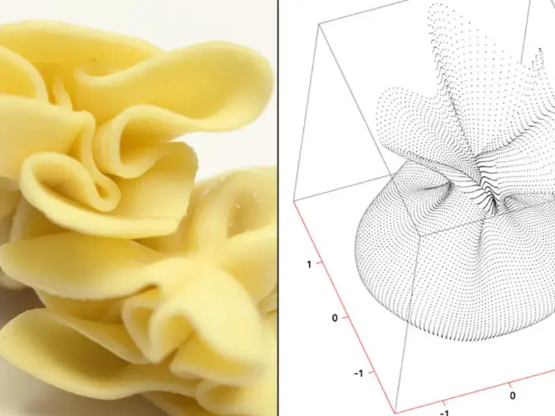 Original_1500_pasta-design-393-TP