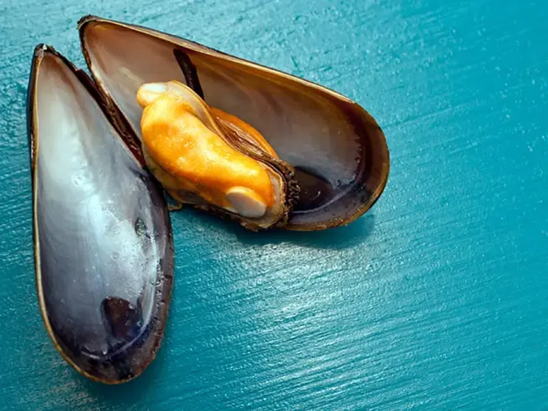 Mussels From A to Z: 26 Things to Know