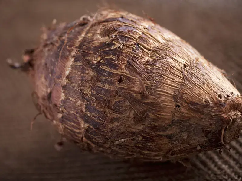 How to Cook Malanga