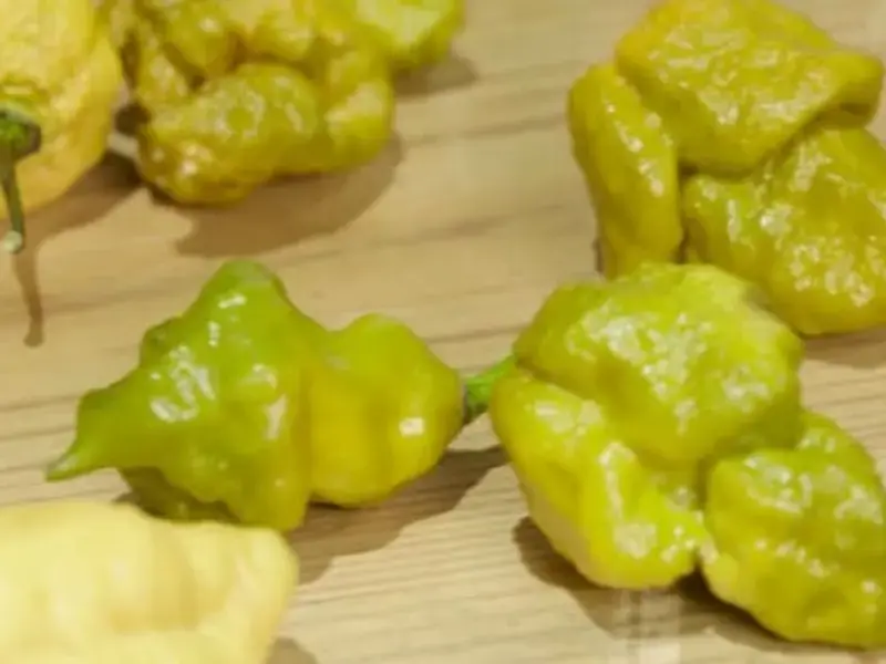 'Pepper X' is the New World’s Hottest Pepper