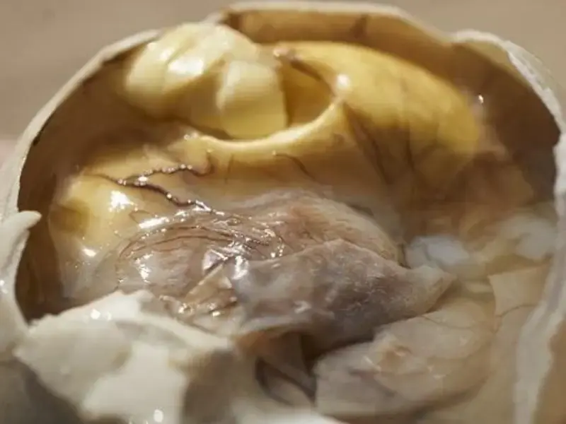 Have You Heard of Balut? Get to Know This Asian Specialty