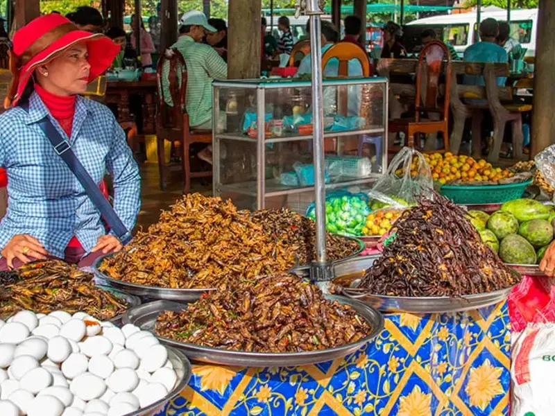 Insects everywhere! Cambodia’s Expansive Creepy-Crawly Menu