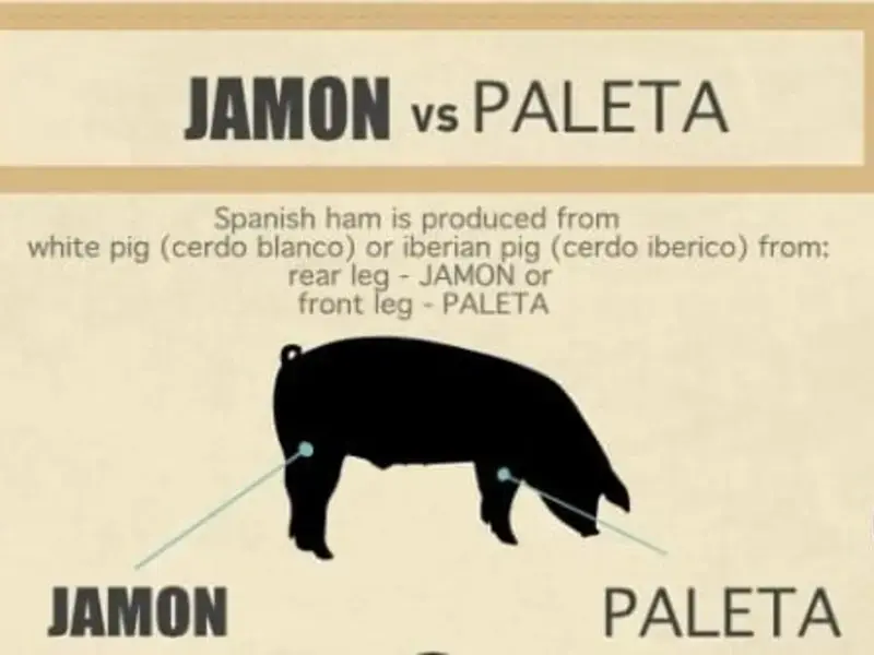 Jamon vs Paleta Infographic