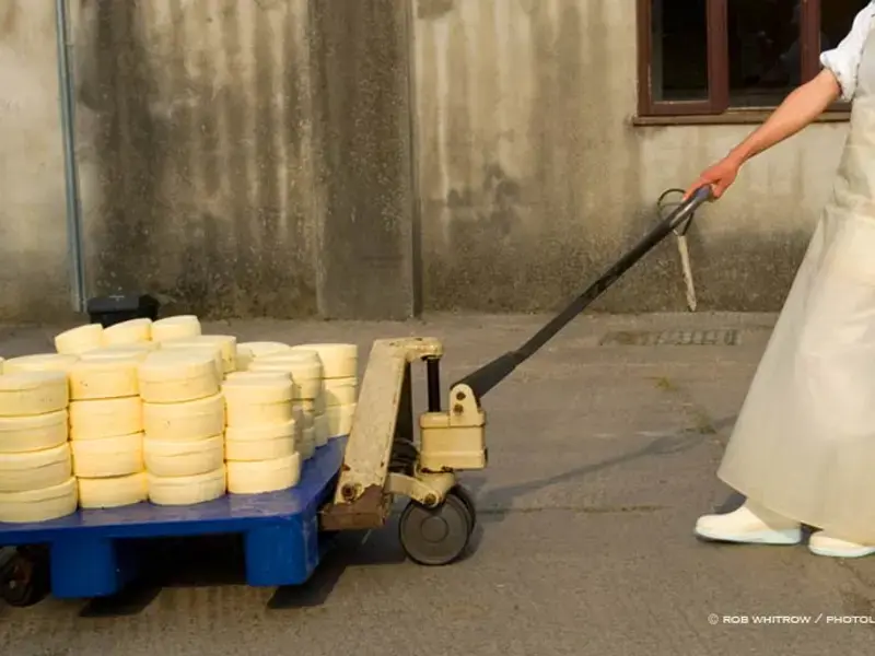 Original_4530_TP-pecorino