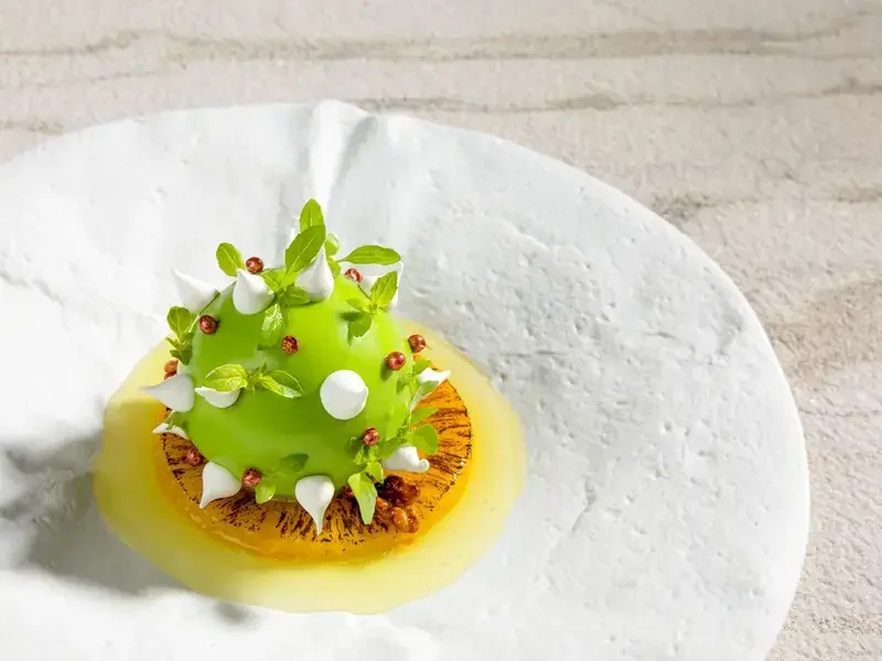 a close up of a dish from schanz. restaurant.