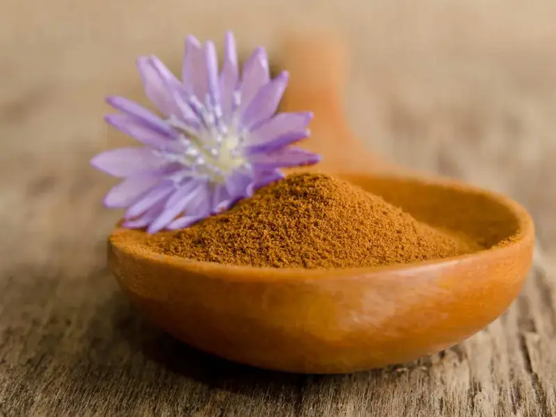 chicory coffee powder ©iStock